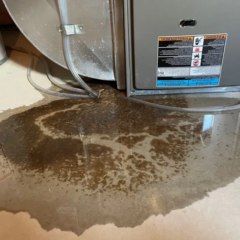 Pipe Burst and Leak Restoration in Farmington, UT